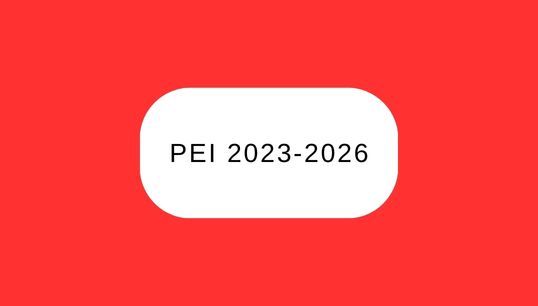 Lee más sobre el artículo PEI 2023-2026